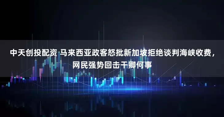 中天创投配资 马来西亚政客怒批新加坡拒绝谈判海峡收费，网民强势回击干卿何事